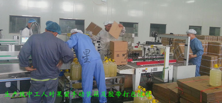 消防粉灌装生产线，全自动粉末灌装生产线